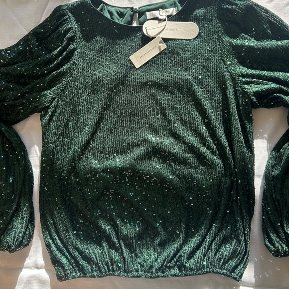 Anthropologie Dark Green Sequin Blouse - Picture 3 of 13